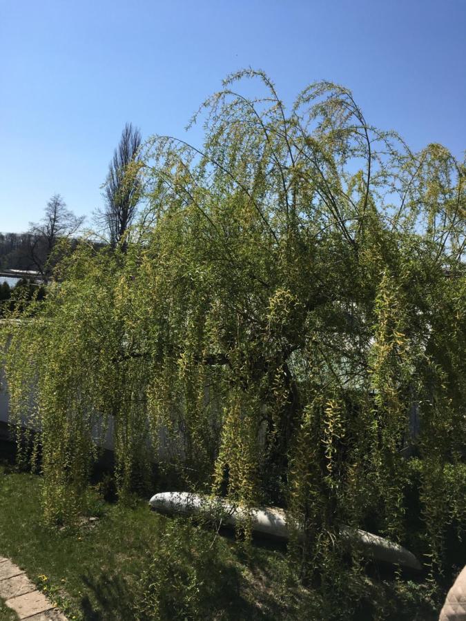 Chata U Rybnika Broumar Opočno Dış mekan fotoğraf